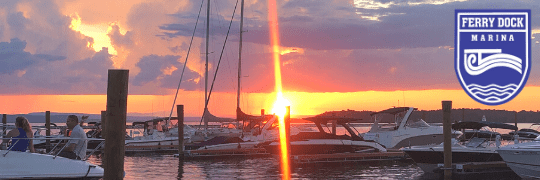 Ferry Dock Marina logo